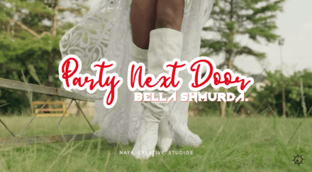 Dangbana Republik & Bella Shmurda – ‘Party Next Door (Alternate)’
