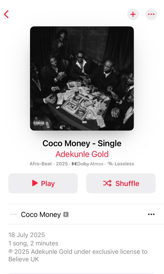 Adekunle Gold’s “Coco Money”: A Star-Studded Afrobeat Triumph