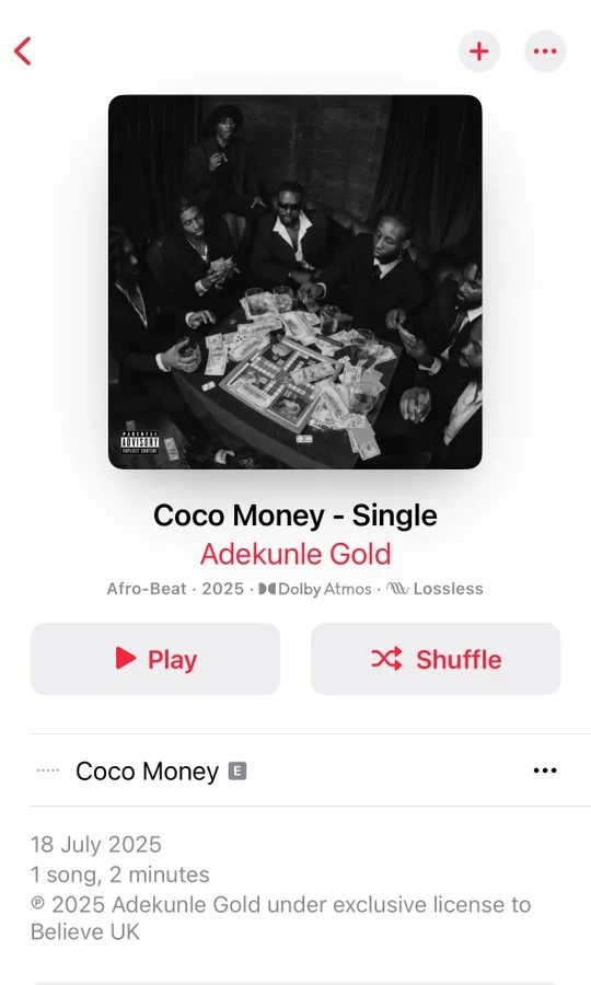 Adekunle Gold’s “Coco Money”: A Star-Studded Afrobeat Triumph