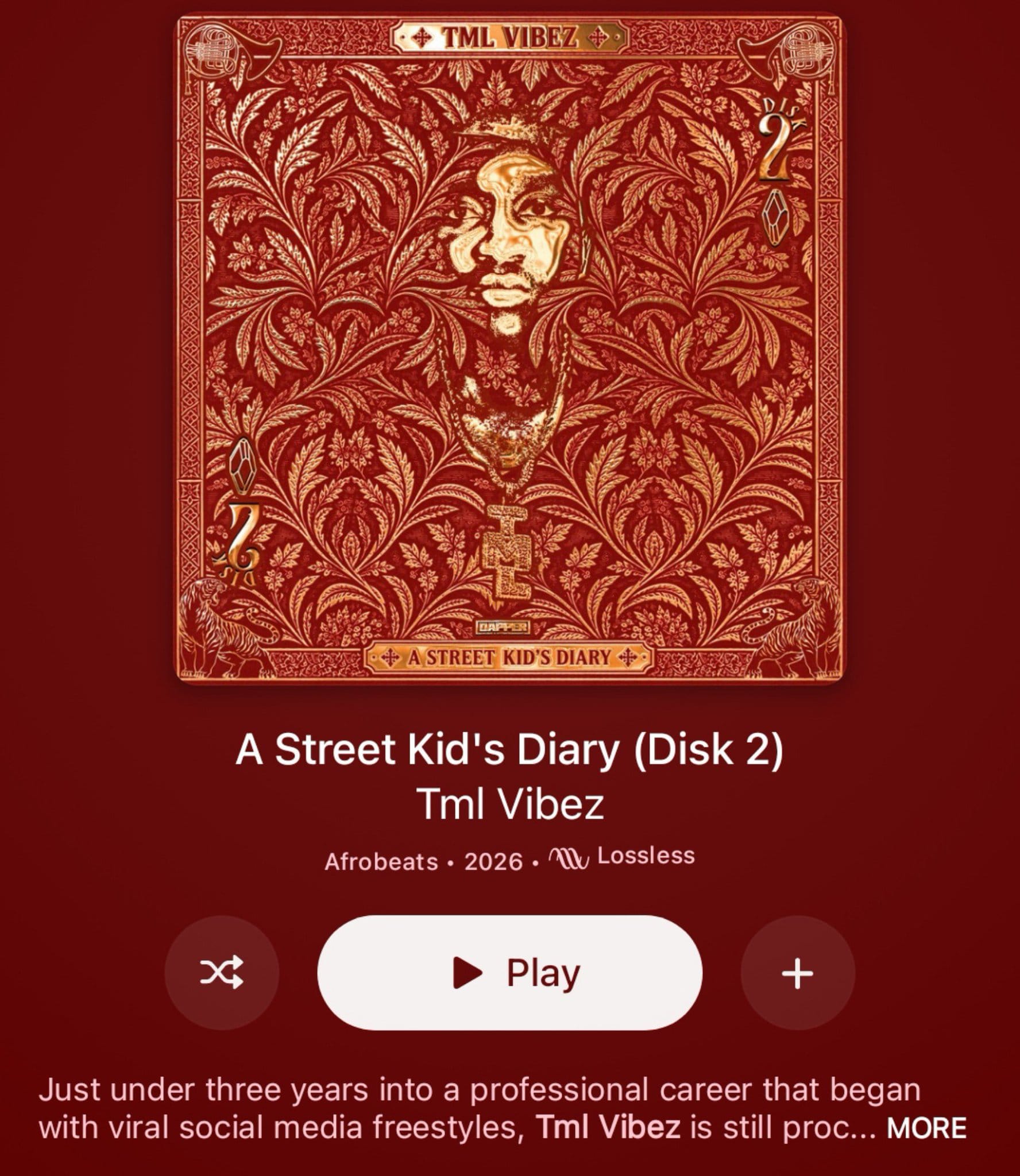 TML VIBEZ — A STREET KID’S DIARY (DISK 2) OUT NOW